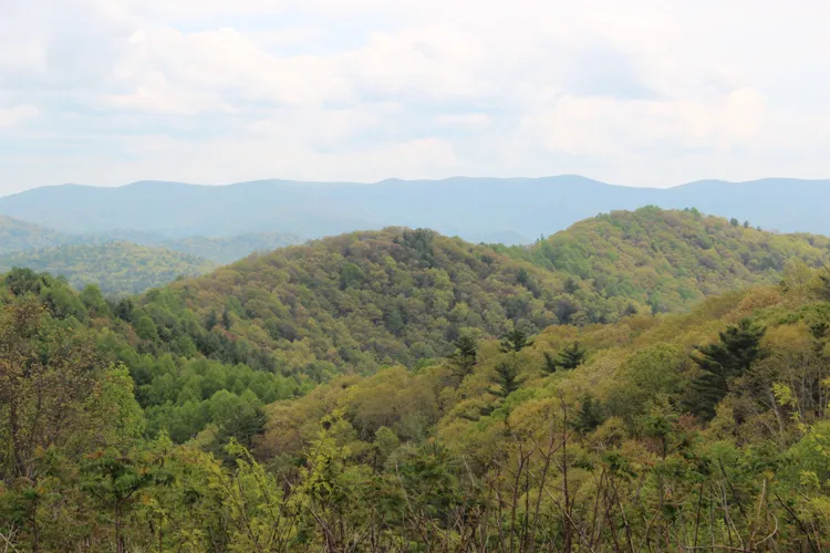 Cohutta Overlook near Ellijay