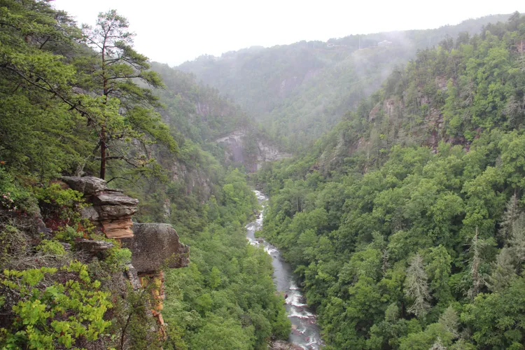 Tallulah Gorge viewed from an overlook