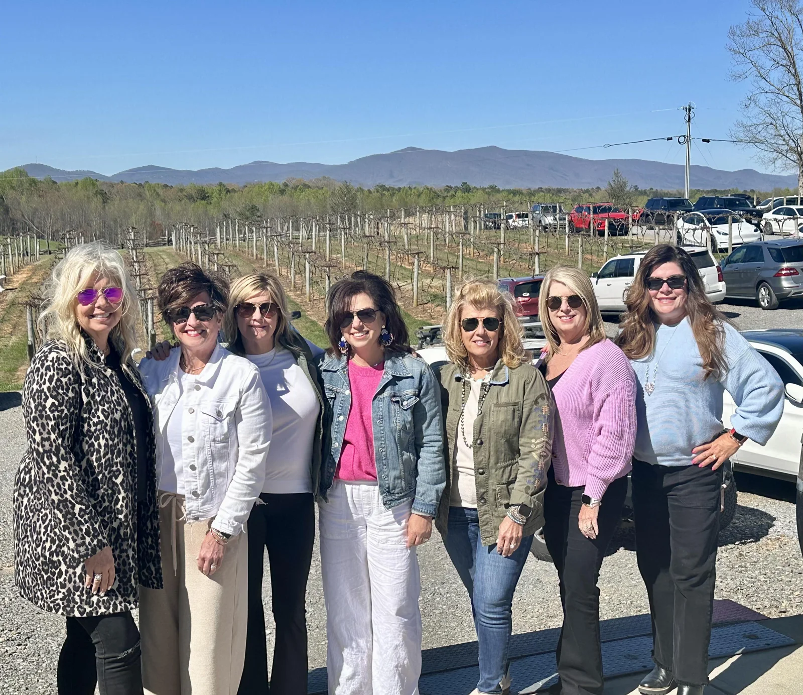 Friends standing beside vineyard rows with mountains behind them