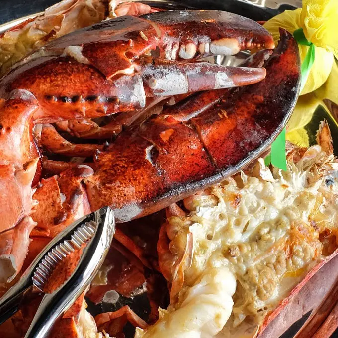 Lobster dish photographed by Cotton Calf Kitchen in Braselton