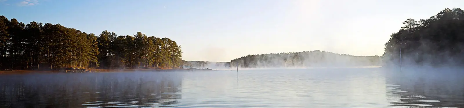 Forested Lake Allatoona shoreline at Red Top Mountain State Park