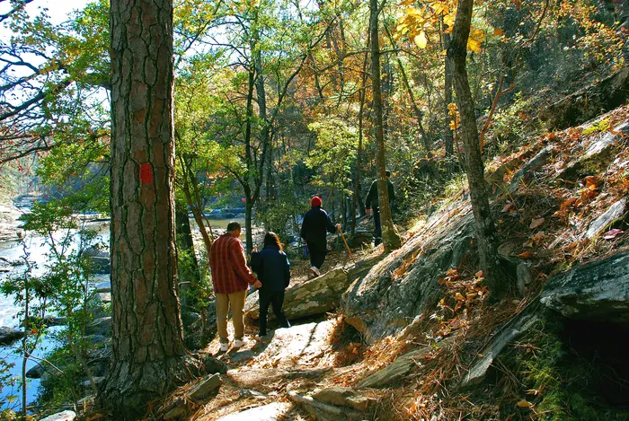 Hikers on the wooded trail beside Sweetwater Creek State Park