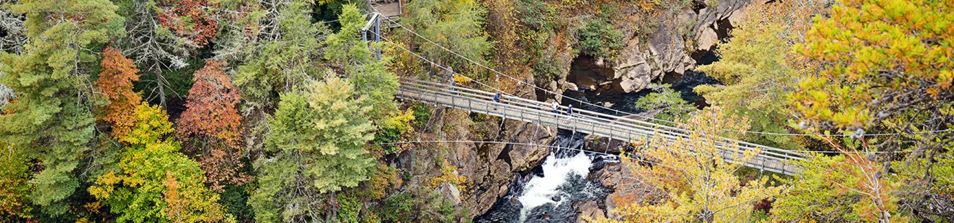 Suspension bridge and autumn forest at Tallulah Gorge State Park