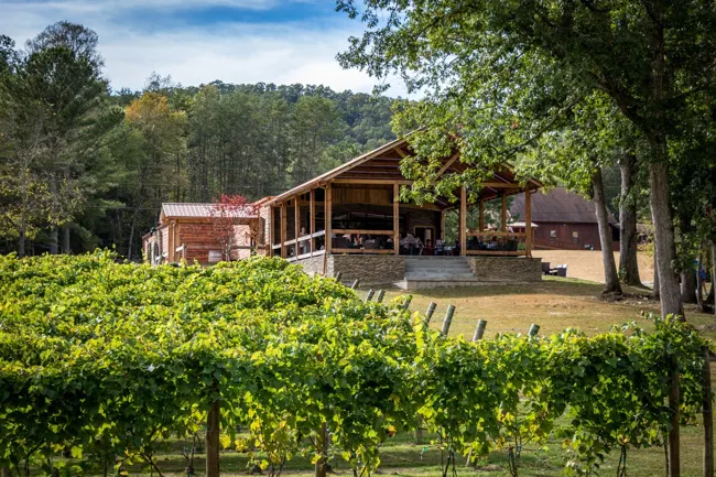 Bear Claw tasting room beyond rows of vines