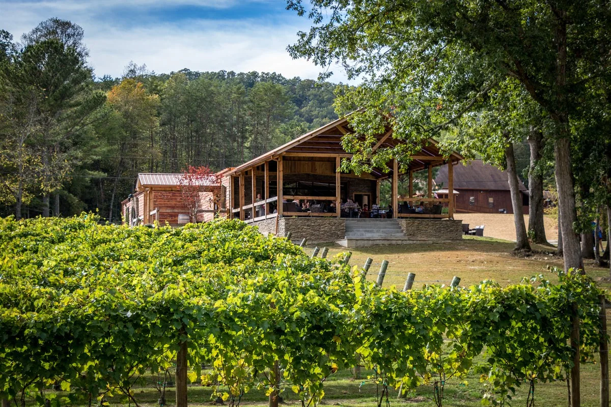 Bear Claw tasting room beyond rows of vines