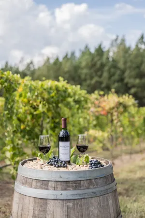 Blue Cielo wine bottle and glasses on a barrel beside vines