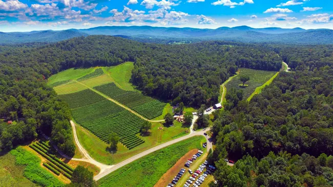 Aerial view of Cartecay vineyard and tasting barn