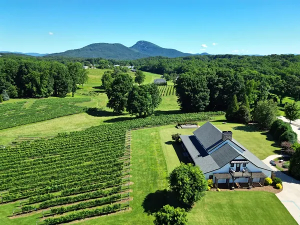 Aerial view of CeNita vineyard, winery and surrounding hills