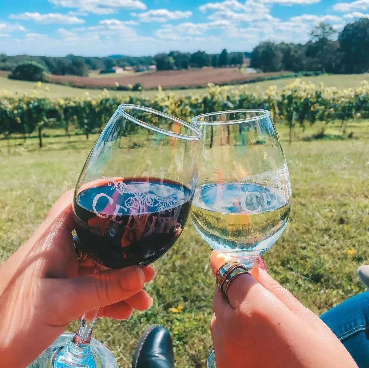 Red and white wine glasses held overlooking CeNita vineyard