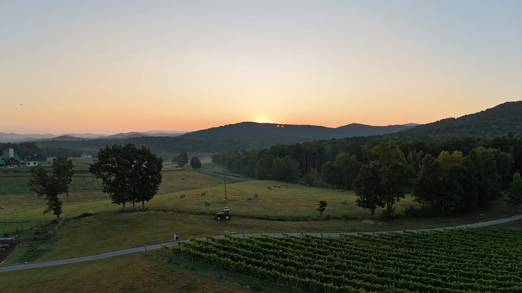 Vineyard rows and rolling hills at sunset