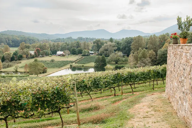 Vineyard rows and distant mountain views at Crane Creek Vineyards