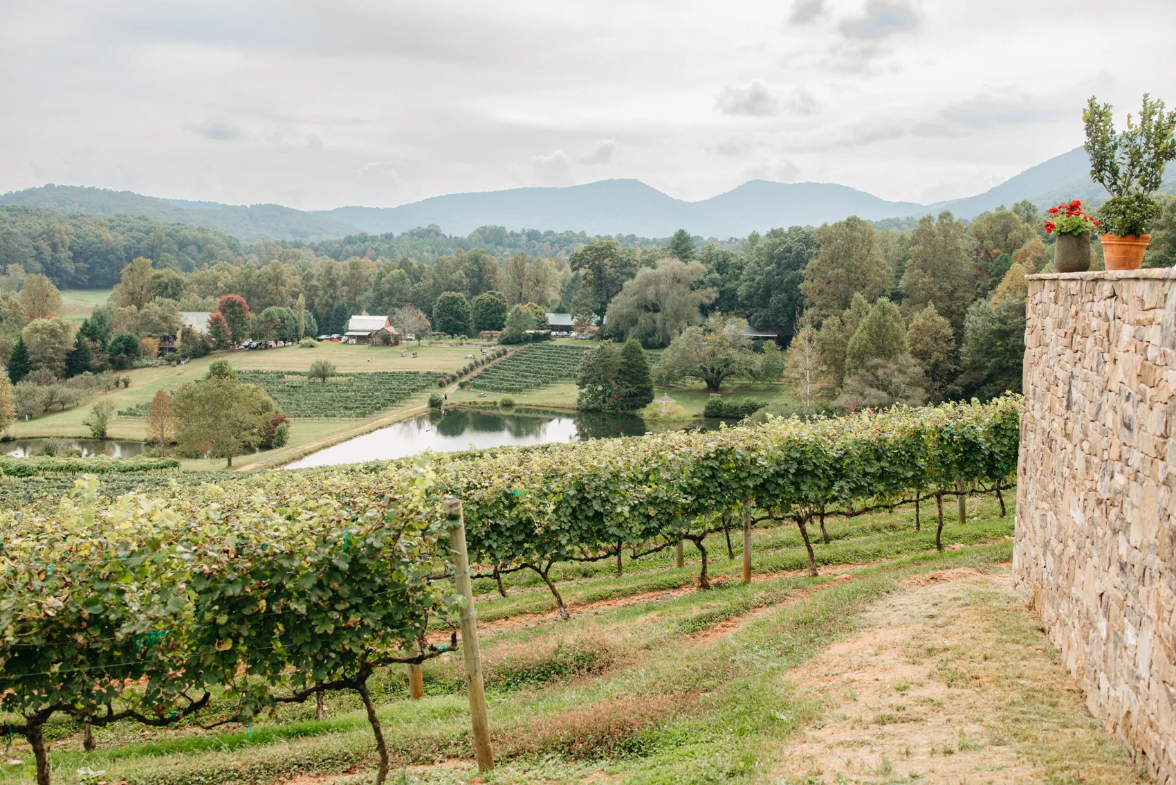 Vineyard rows and distant mountain views at Crane Creek Vineyards