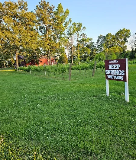 Deep Springs vineyard lawn and estate sign