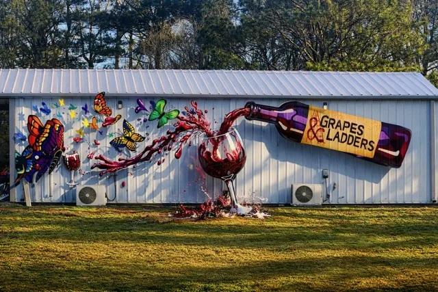 Colorful Grapes and Ladders building mural