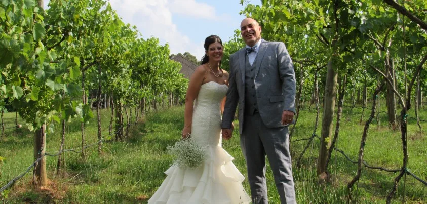 Wedding couple among the vines at Little Vine Vineyards