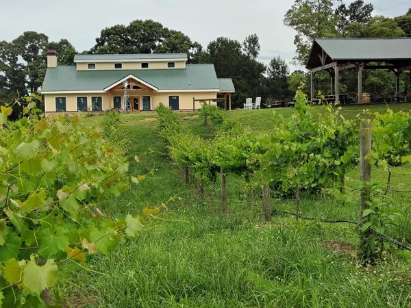 Mulberry Springs vineyard rows and estate building