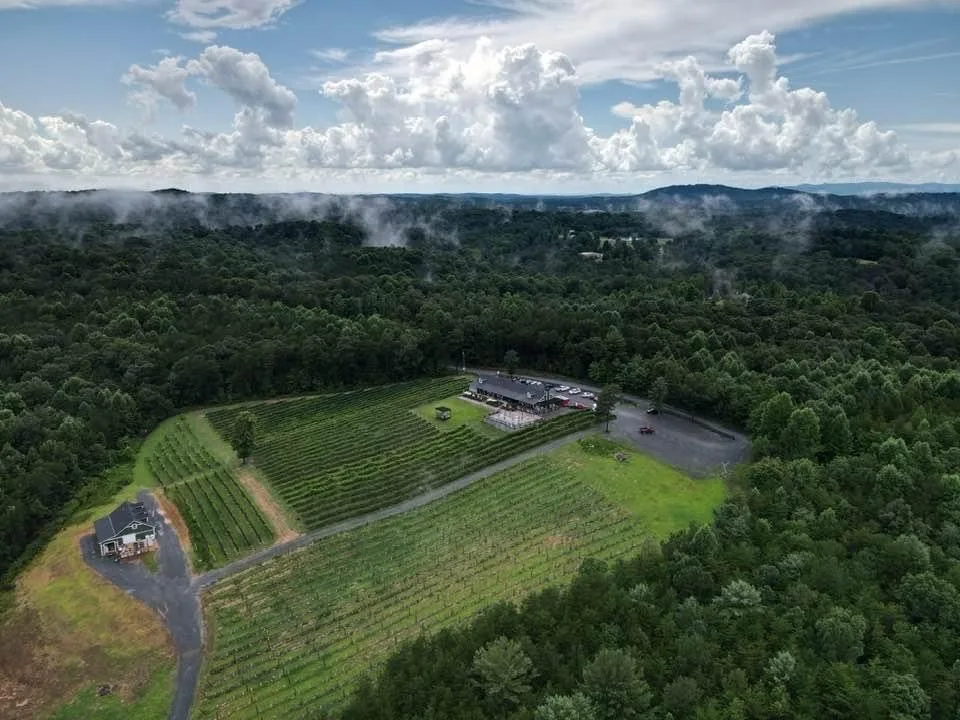 Aerial view of Ott vineyard and mountain landscape
