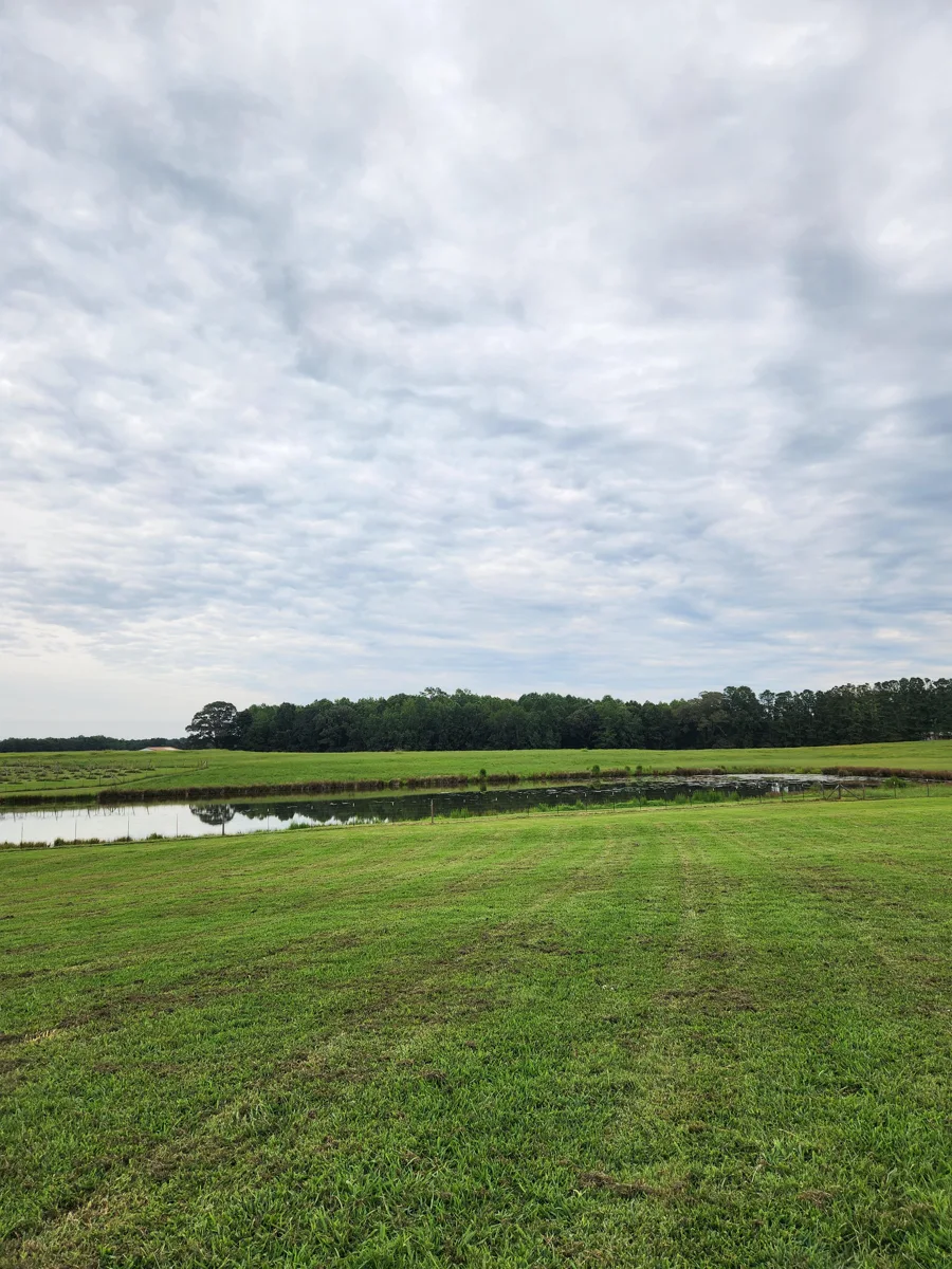 Grassy grounds and pond at Paris Mountain Vineyards