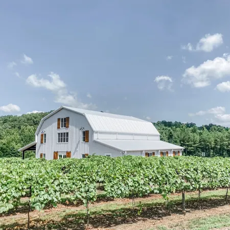 Barn and vineyard rows at Qualusi Vineyards