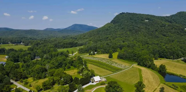 Aerial view of Tiger Mountain Vineyards and surrounding mountain landscape