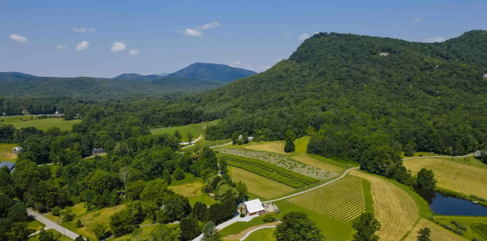 Aerial view of Tiger Mountain Vineyards and surrounding mountain landscape