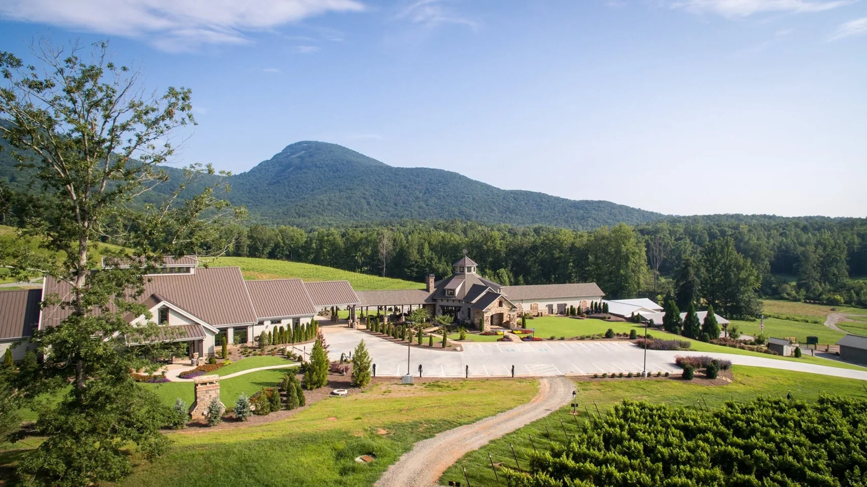 Yonah Mountain rising beyond the winery grounds