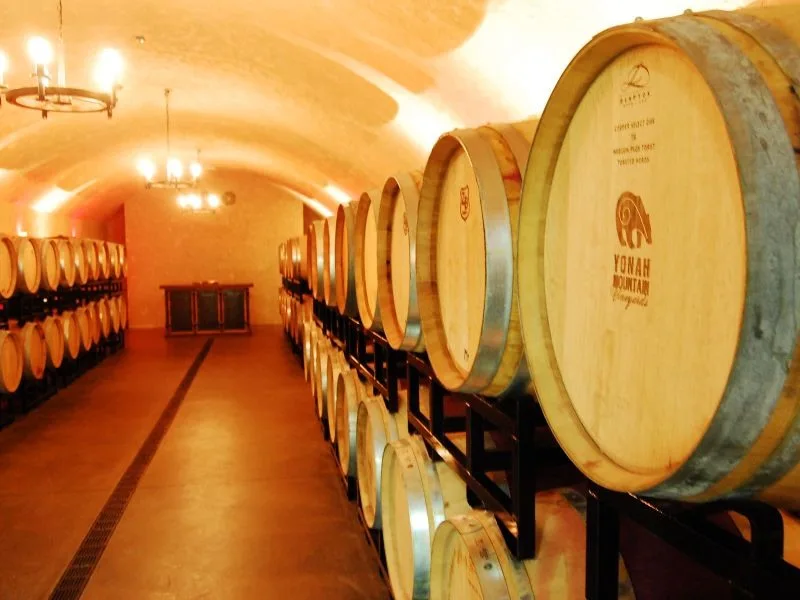 Wine barrels in the illuminated Yonah Mountain cellar